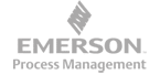 Emerson Process Management logo - Ad agency client Pittsburgh